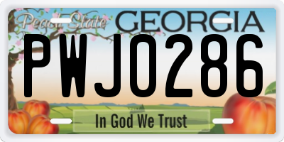 GA license plate PWJ0286