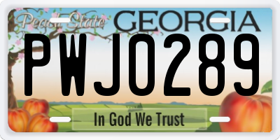 GA license plate PWJ0289