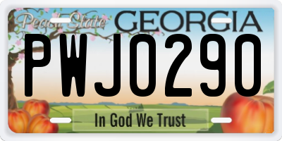 GA license plate PWJ0290