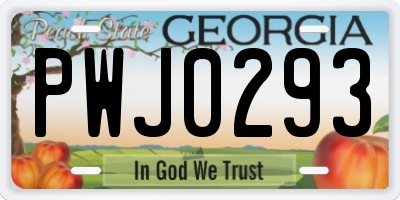 GA license plate PWJ0293