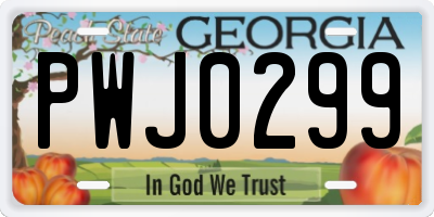 GA license plate PWJ0299