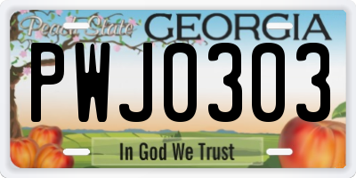 GA license plate PWJ0303