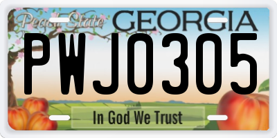 GA license plate PWJ0305