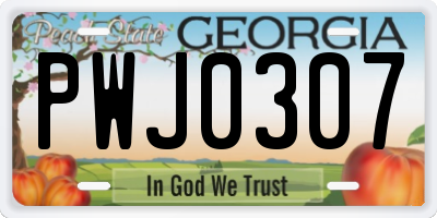 GA license plate PWJ0307