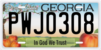 GA license plate PWJ0308