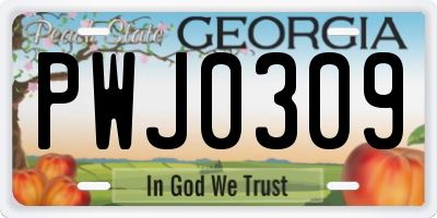 GA license plate PWJ0309