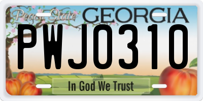 GA license plate PWJ0310