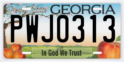 GA license plate PWJ0313
