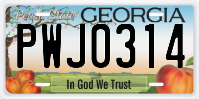 GA license plate PWJ0314