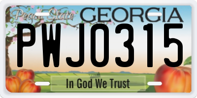 GA license plate PWJ0315