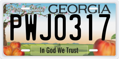GA license plate PWJ0317