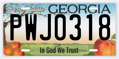 GA license plate PWJ0318