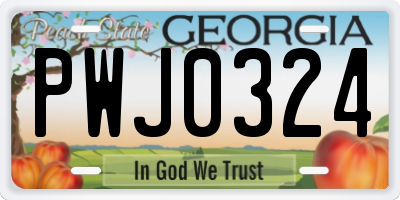 GA license plate PWJ0324