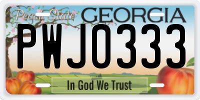 GA license plate PWJ0333