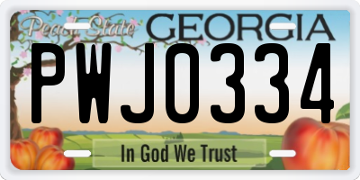 GA license plate PWJ0334