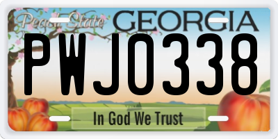 GA license plate PWJ0338