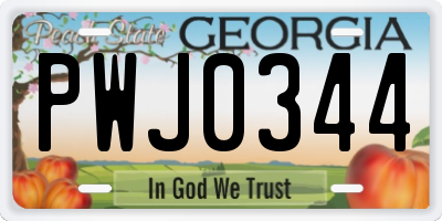 GA license plate PWJ0344