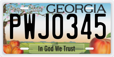 GA license plate PWJ0345