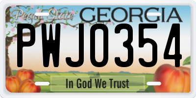 GA license plate PWJ0354