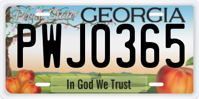 GA license plate PWJ0365