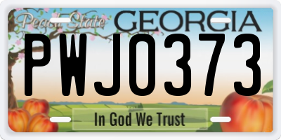GA license plate PWJ0373