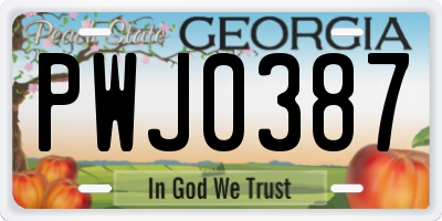 GA license plate PWJ0387