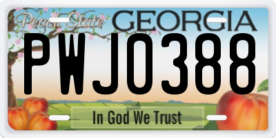 GA license plate PWJ0388