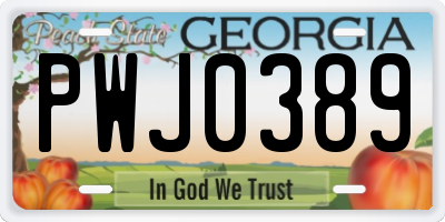 GA license plate PWJ0389