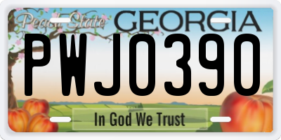 GA license plate PWJ0390