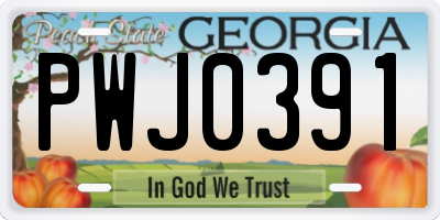 GA license plate PWJ0391