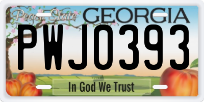 GA license plate PWJ0393