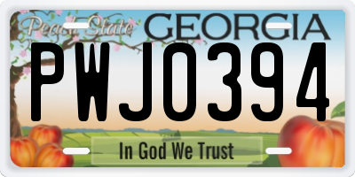 GA license plate PWJ0394