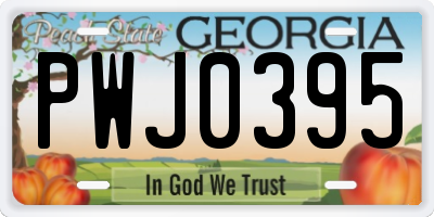 GA license plate PWJ0395