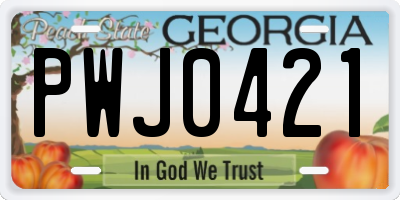 GA license plate PWJ0421