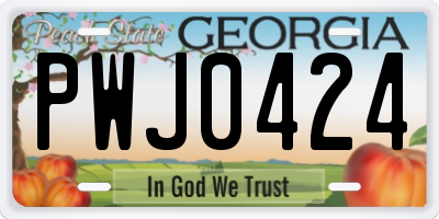 GA license plate PWJ0424