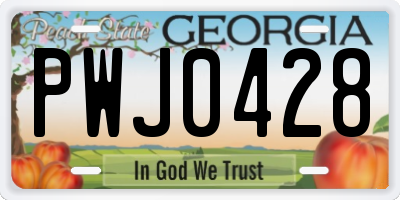 GA license plate PWJ0428