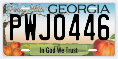 GA license plate PWJ0446