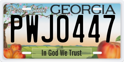 GA license plate PWJ0447
