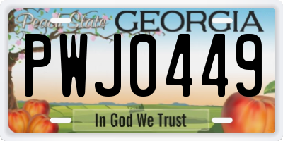 GA license plate PWJ0449