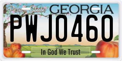 GA license plate PWJ0460