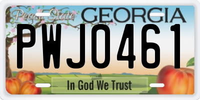 GA license plate PWJ0461