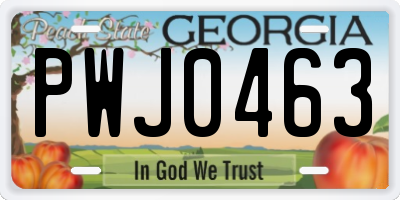 GA license plate PWJ0463
