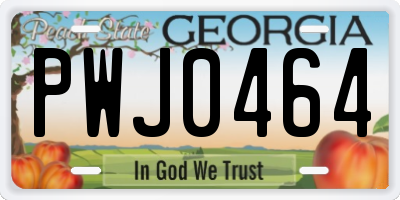 GA license plate PWJ0464