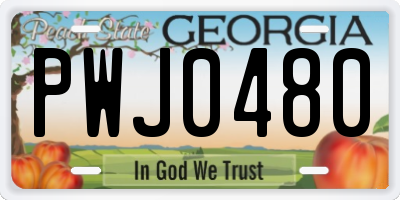 GA license plate PWJ0480