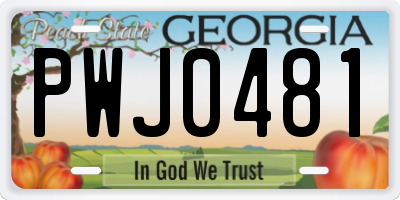 GA license plate PWJ0481