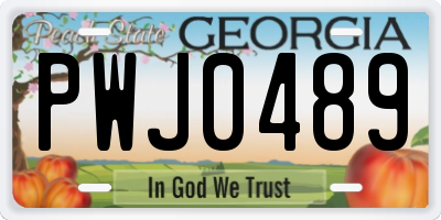 GA license plate PWJ0489