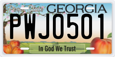 GA license plate PWJ0501