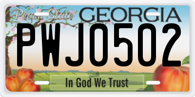 GA license plate PWJ0502