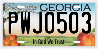 GA license plate PWJ0503