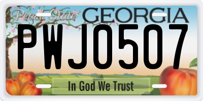GA license plate PWJ0507